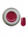Gel colorato - 246 - Rosa Vivo 5ml