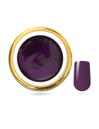 Gel Painting Viola 5ml