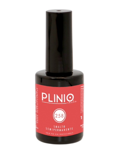 Smalto Semipermanente 258 - Heidi 15ml